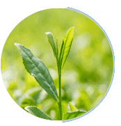 us-prostapeak Ingredients