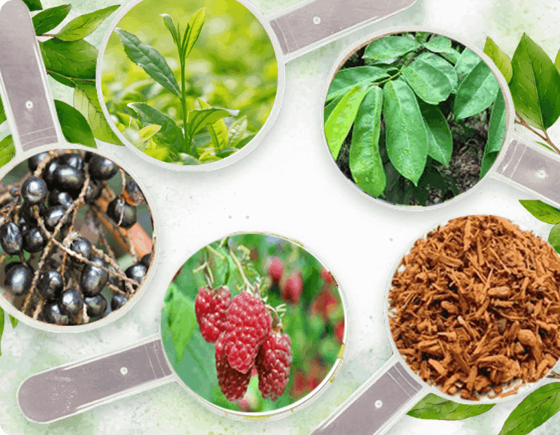us-prostapeak Ingredients